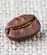 Photo: Coffee beans on a rough cloth close up Coffee beans on a rough cloth close up
