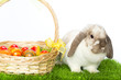 Osterhase mit Ostereier Korb