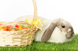 Osterhase mit Ostereier Korb