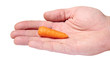 Hand holding carrot