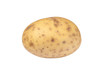 Photo: Isolated potato Isolated potato