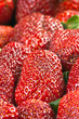 Group of ripe strawberries arranged