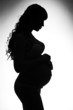 pregnant woman silhouette