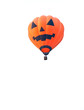Photo: hot air balloon hot air balloon
