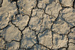 Cracked earth