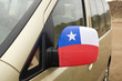 Chilean patriotic symbol