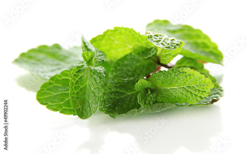 Photo: Mint isolated on white Mint isolated on white