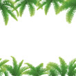 Seamless background, palm leaves