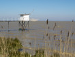 Carrelet blanc en bord de Gironde, Médoc, France.