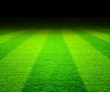 soccer field at night
