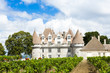 Monbazillac Castle with vineyard, Aquitaine, France