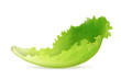 Lettuce