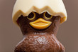 Photo: Easter chocolate Easter chocolate