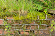 Moss and weed covered crumbling wall background