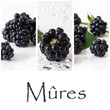 Photo: composition Mûres composition Mûres
