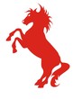 Red horse icon. Horse rising on racks