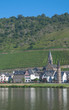 der bekannte Weinort Hatzenport an der Mosel