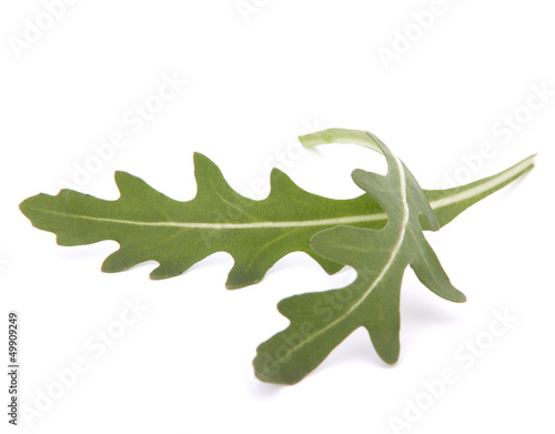 Photo: Sweet rucola salad or rocket lettuce leaves Sweet rucola salad or rocket lettuce leaves