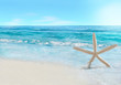 Starfish and wave