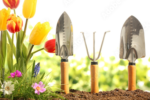 Photo: Gardening Gardening