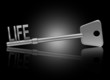 Key to life concept.
