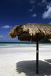 Hut by the beach