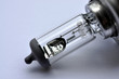 Light bulb