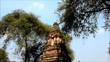 Pagoda in the temple of Ayuthaya
