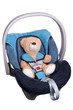 Teddy im Kindersitz