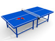 Ping pong table