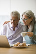 Mature couple at computer