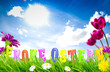 Illustration: Osterwiese mit Schriftzug "Frohe Ostern" Osterwiese mit Schriftzug "Frohe Ostern"