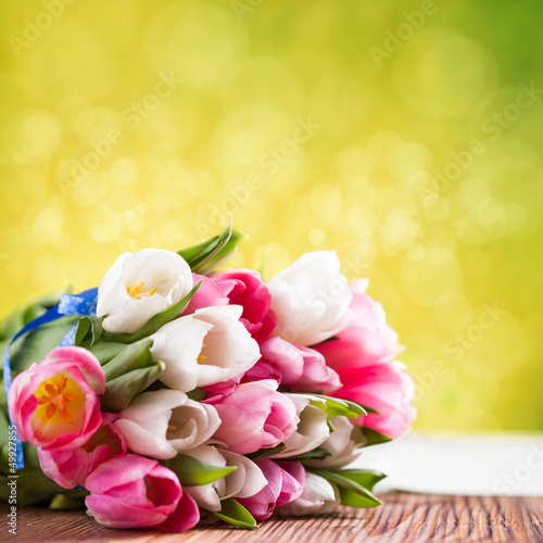 Photo: Tulpen vor Frühlingshintergrund Tulpen vor Frühlingshintergrund