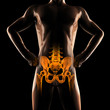 human radiography scan