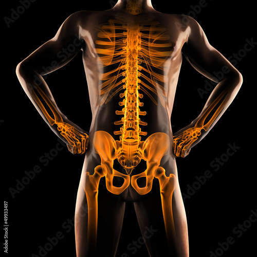 Illustration: human radiography scan human radiography scan