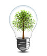 treen in light bulb
