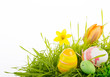 easter decoration green grassland