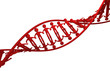 Human DNA