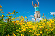 ...endlich Sommer