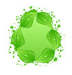 Green eco leaves label isolated on white background