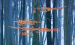 winter beech branches