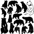 Bears white brown animals