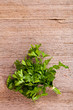 Photo: bunch of fresh parsley bunch of fresh parsley