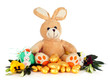 Plush bunny