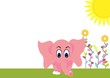 cute elephant baby with sunrise