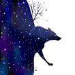 wolf