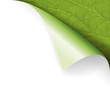 Papier Ecke Blatt Natur