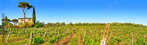 Photo: Tuscany landscape panorama with vineyard at sunset, Italy Tuscany landscape panorama with vineyard at sunset, Italy