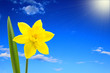 Der Frühling kommt...