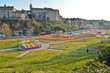 Viterbo - Valle FAUL - Palazzo Papale - Parcheggio
